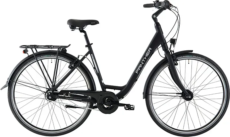 Panther Panther Caraz 4.0 2023 | 28 Zoll | Tiefeinsteiger (Bild 1)