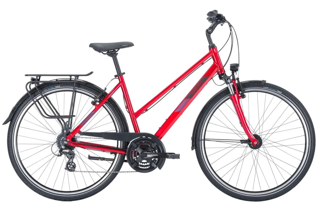 Pegasus Fahrrad 28 Zoll