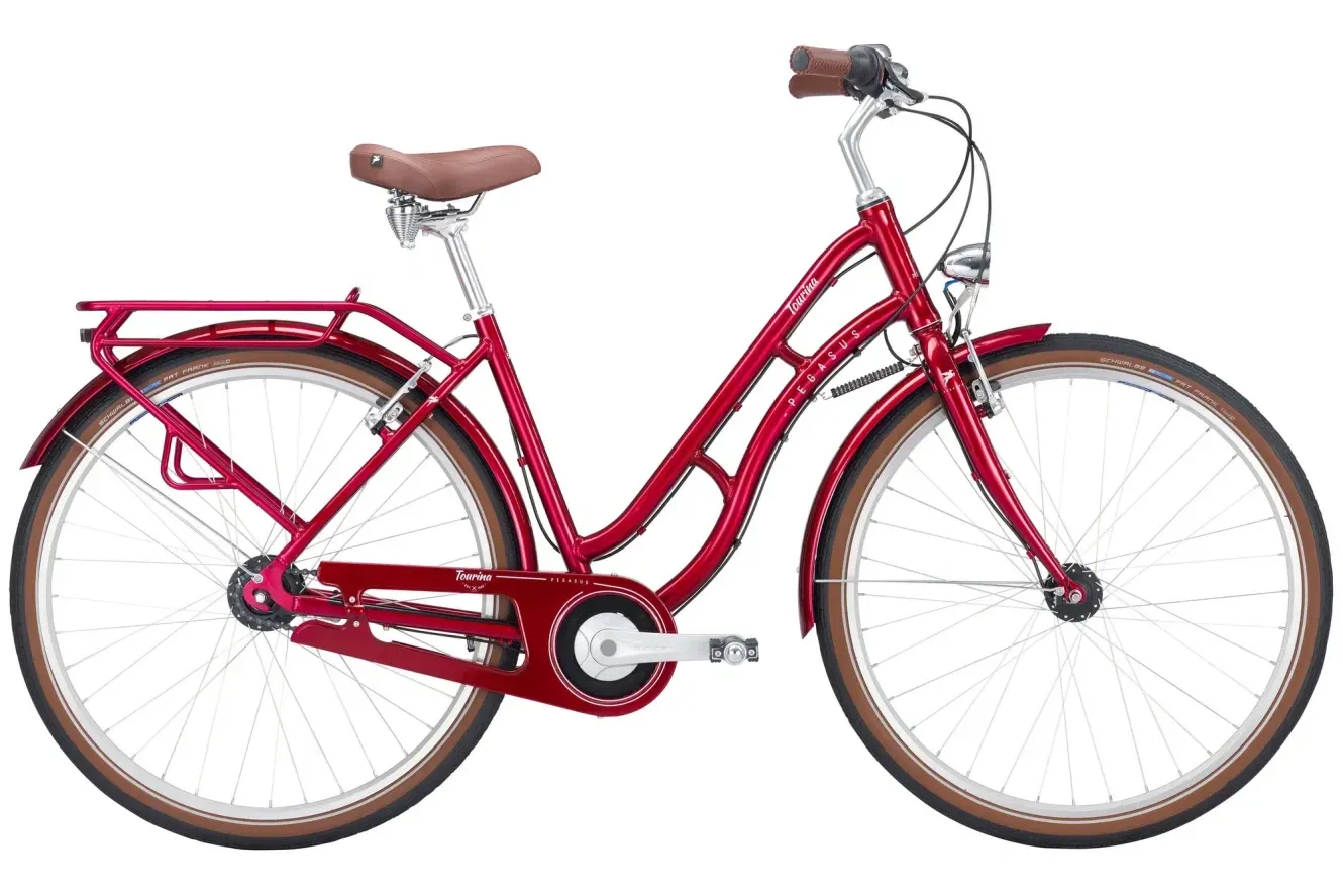 Hollandrad Pegasus Tourina 2023 | 28 Zoll | Schwanenhals