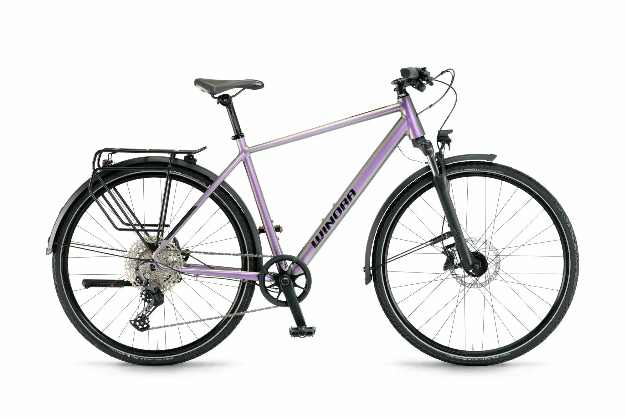 Winora Winora Domingo X12 2025 | 28 Zoll | Diamant (Bild 1)