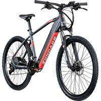 Bild von Pentagon Sports Zündapp Z808 E-Mountainbike für Damen und Herren 