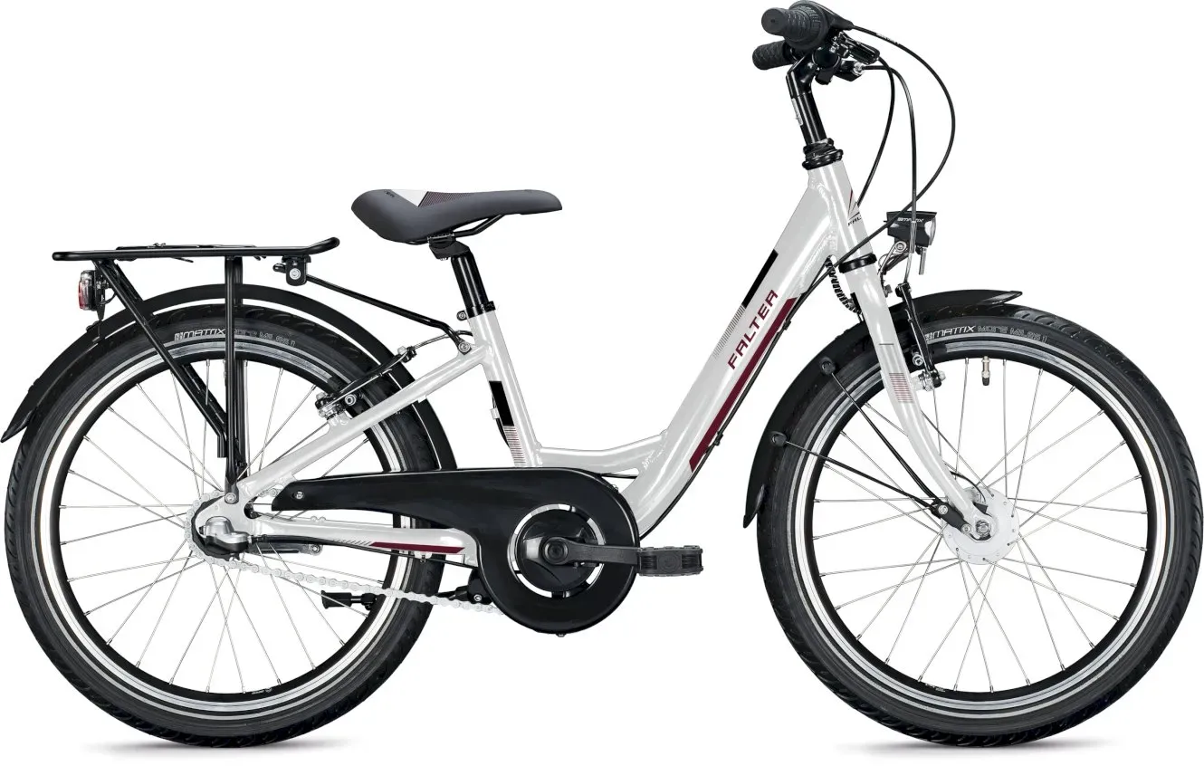 Kinderfahrrad 20 Zoll FALTER FX 203 ND 2022 | 20 Zoll | Tiefeinsteiger (Bild 5)