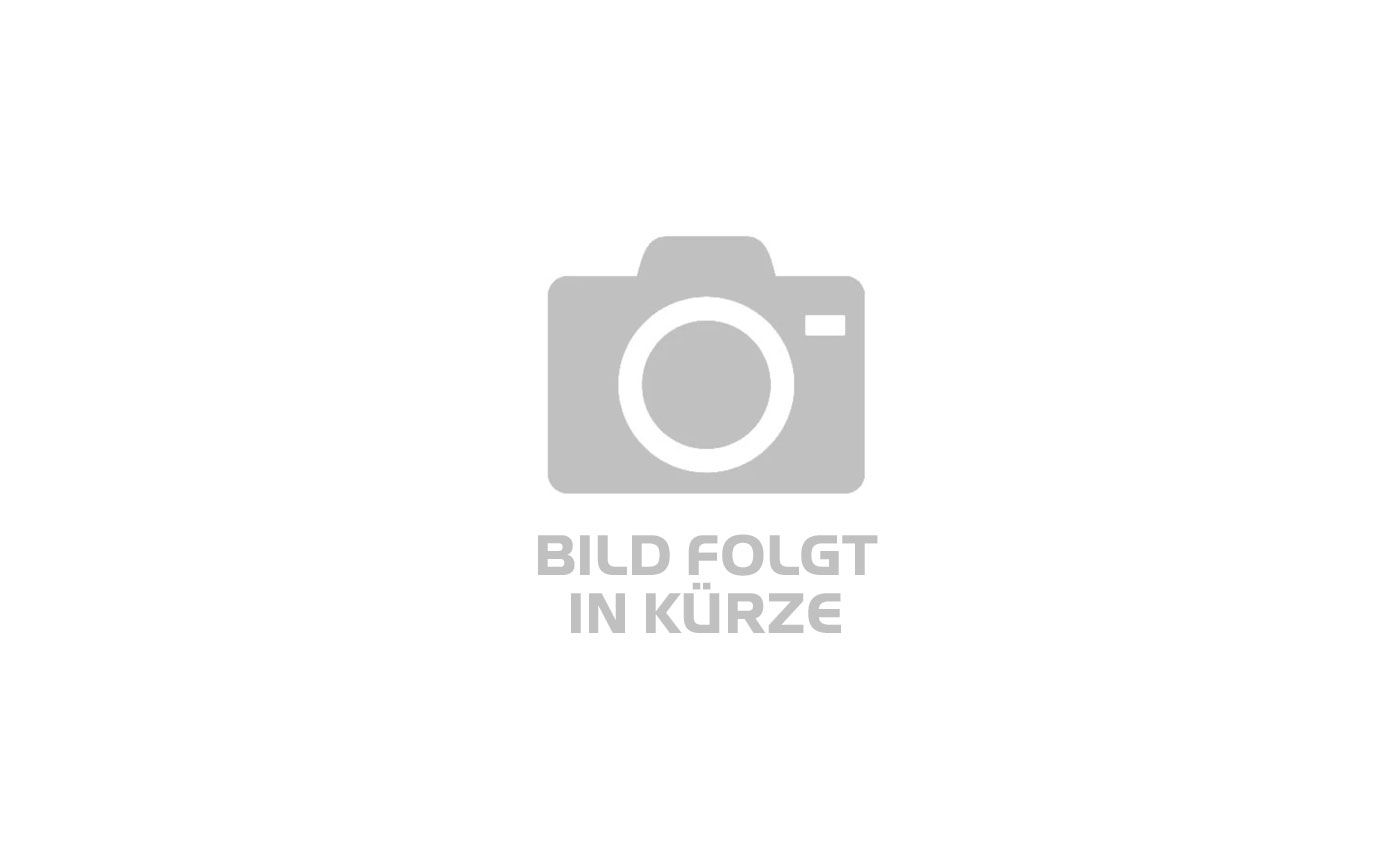 E-Allmountain MTB Focus THRON² 6.9 2024 | 625 Wh | 29 Zoll | Diamant