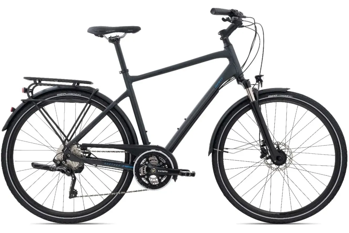 Tourenrad GIANT AnyTour RS 1 2022 | 28 Zoll | Diamant (Bild 1)