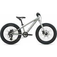 Kinderfahrrad 20 Zoll GIANT STP 20 GIANT 2022 | 20 Zoll | Diamant (Bild 1)