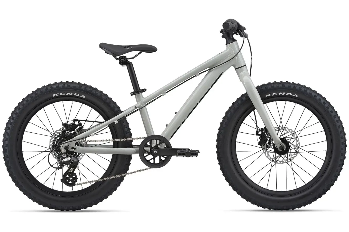 Kinderfahrrad 20 Zoll GIANT STP 20 GIANT 2022 | 20 Zoll | Diamant (Bild 2)