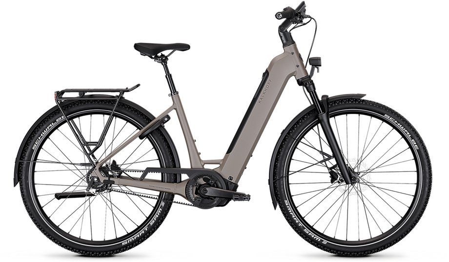 E-Stadtrad Kalkhoff Entice 3 Excite Belt 2026 | 600 Wh | 29 Zoll | Tiefeinsteiger (Bild 1)