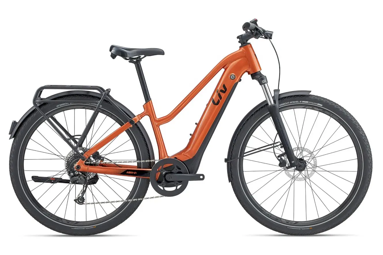 E-Bike Tourenrad Liv Amiti E+ 2 2025 | 625 Wh | 28 Zoll | Trapez (Bild 1)