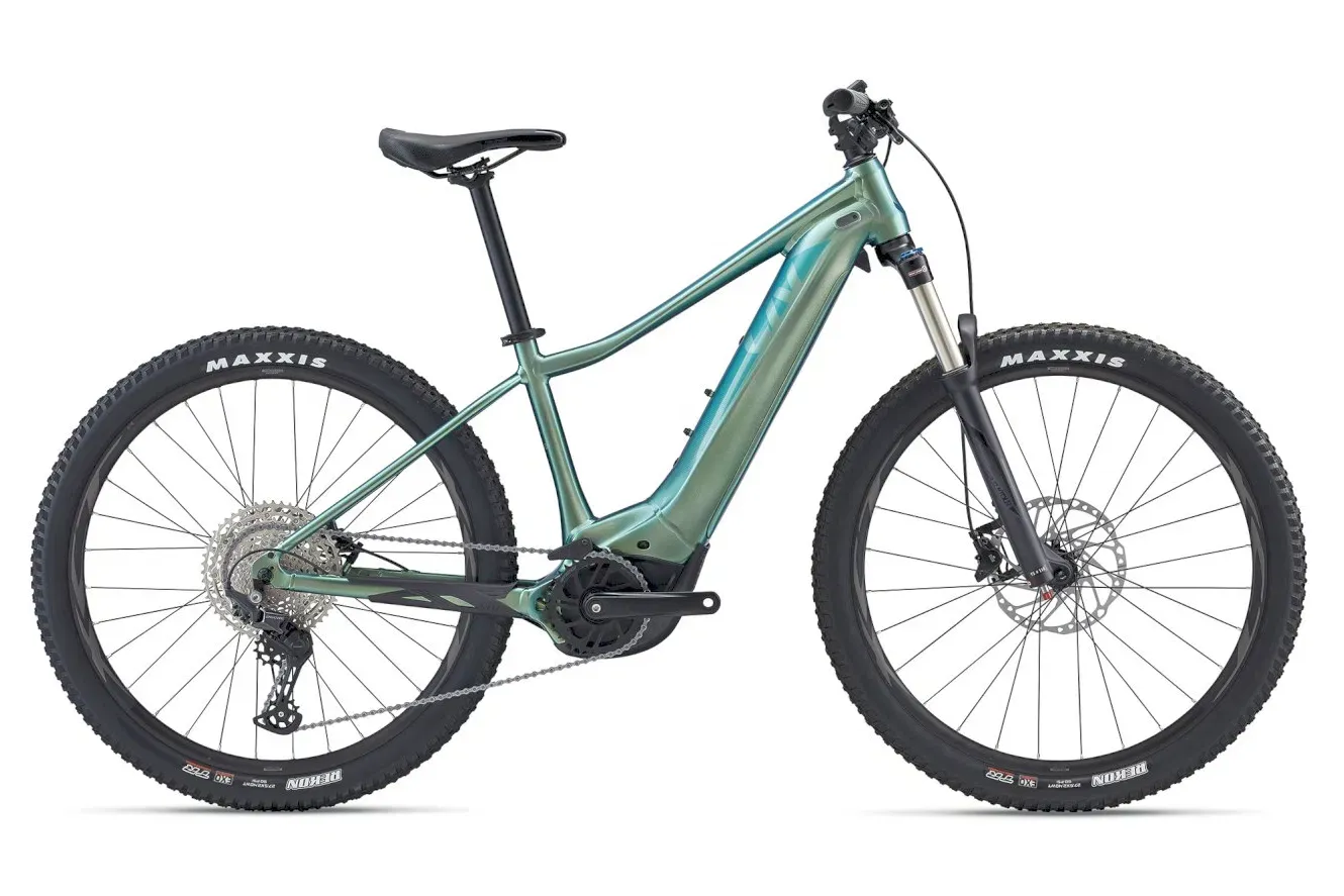 E-Trailbike Liv Vall-E+ 1 2022 (Bild 2)