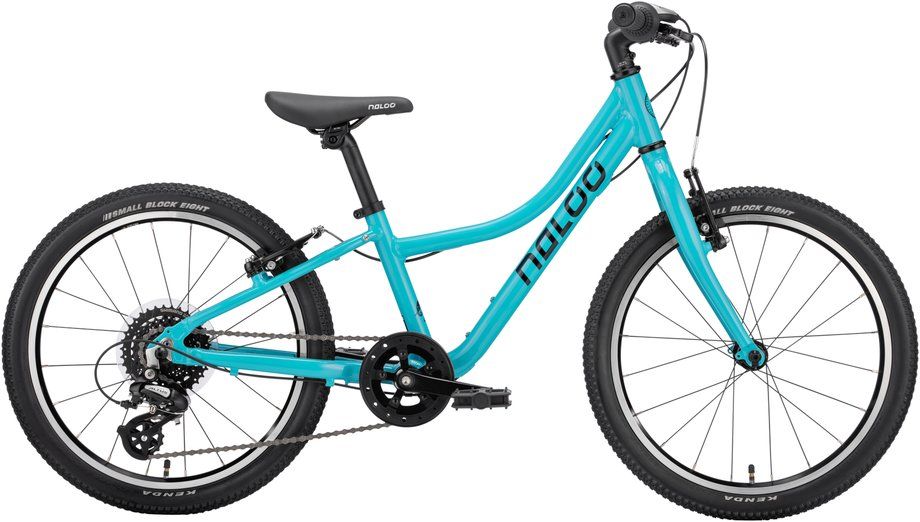 Kinderfahrrad 20 Zoll Naloo Chameleon MK2 2023 | 20 Zoll | Diamant (Bild 1)