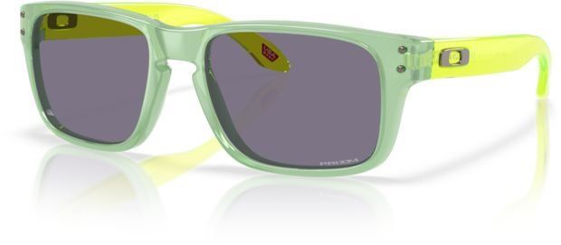 Sportbrille Oakley Holbrook 2025