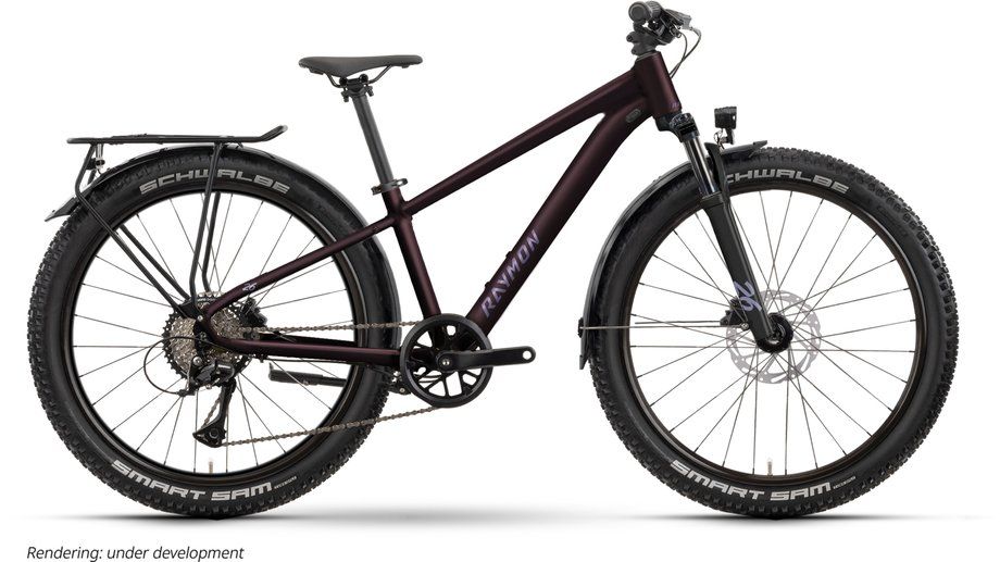 Jugendfahrrad 26 Zoll RAYMON Nayta 26 Pro Street 2026 | 26 Zoll | Diamant