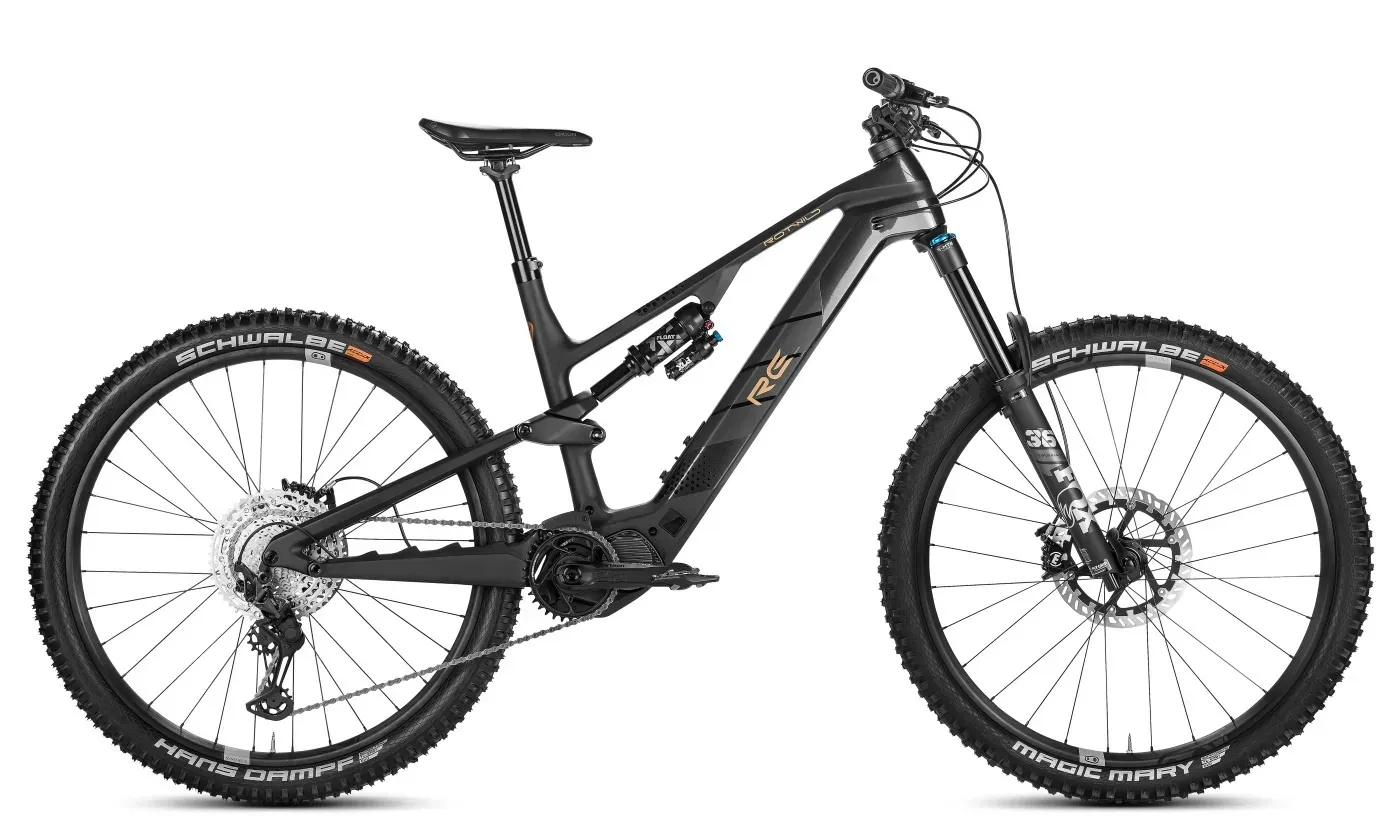 Enduro E Bike Rotwild R.E375 Core 2023 | 375 Wh | 29 Zoll | Diamant (Bild 1)