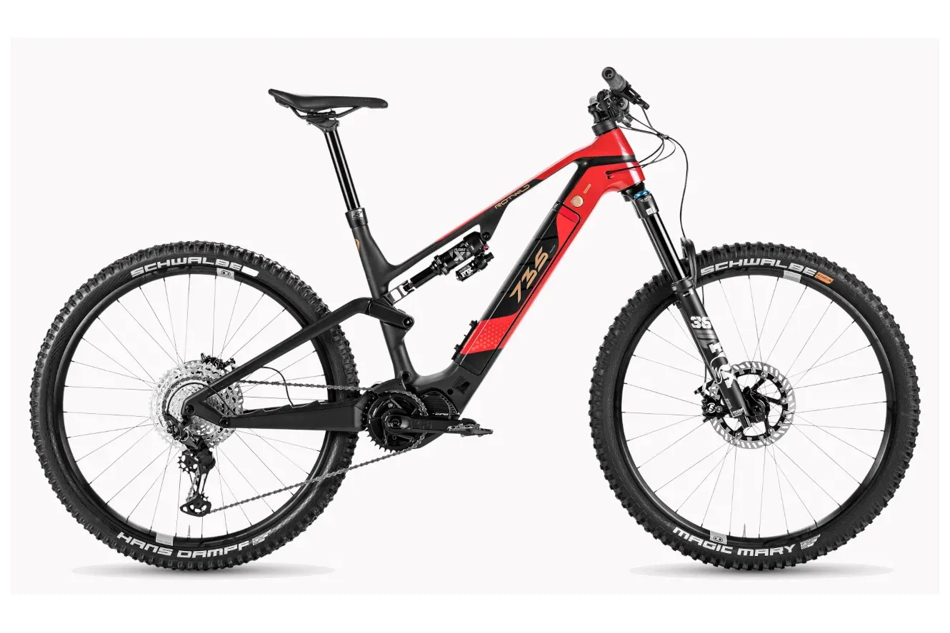 E-Allmountain MTB Rotwild R.X735 CORE 2025 | 720 Wh | 29 Zoll | Diamant