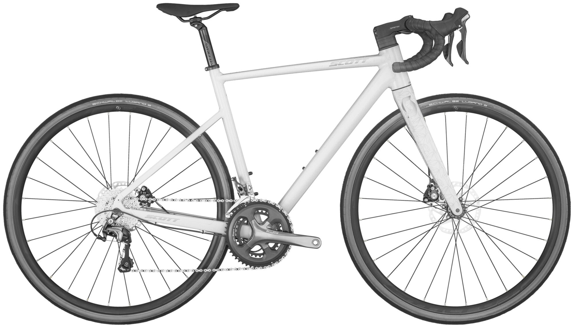 Scott Scott Contessa Speedster 15 2023 | 28 Zoll | Diamant (Bild 1)