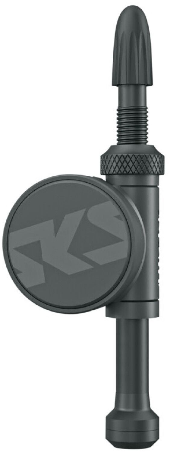 Sonstige Fahrradpumpen SKS Germany AIRSPY TL SET SPECIAL M 2023 (Bild 1)