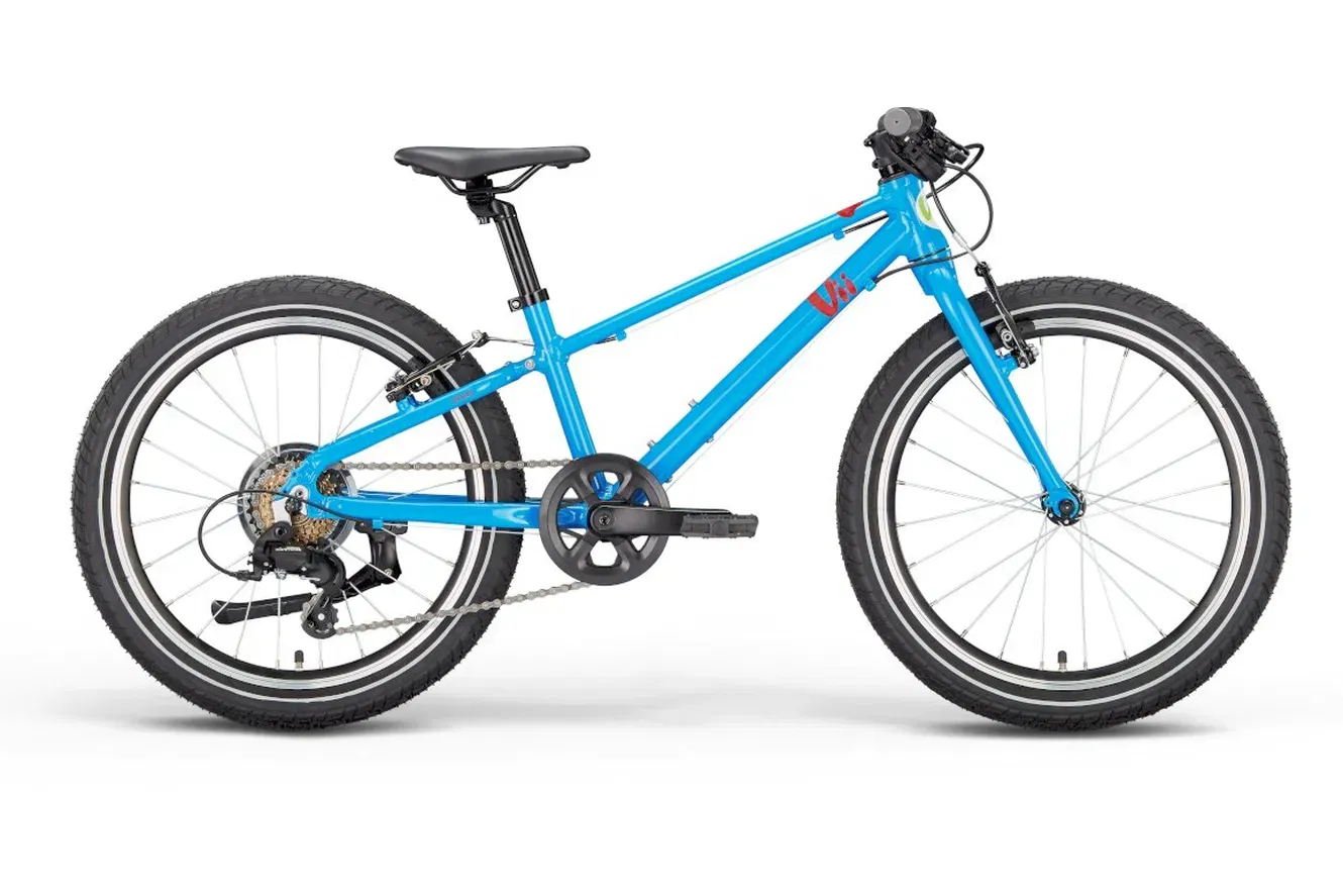 Kinderfahrrad 20 Zoll Vii Danni 2026 | 20 Zoll | Diamant