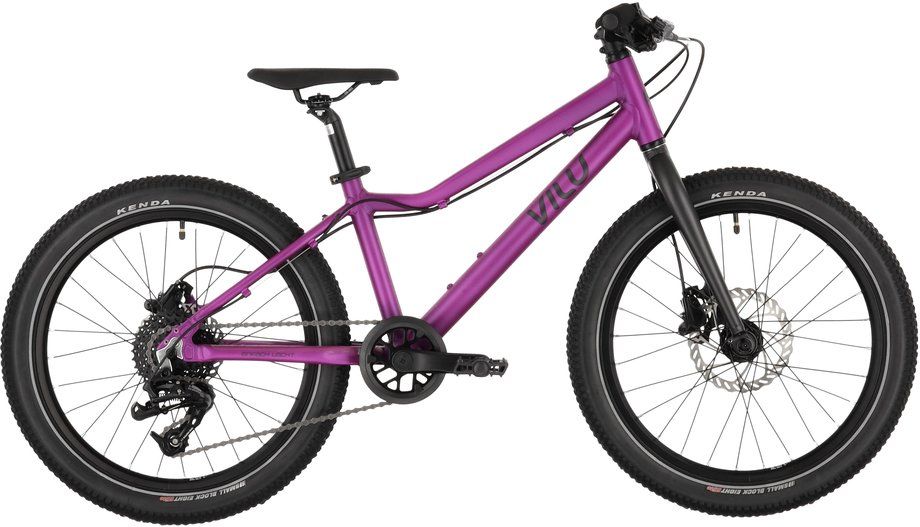 Kinderfahrrad 20 Zoll Vilu Disc 20 2024 | 20 Zoll | Diamant (Bild 4)
