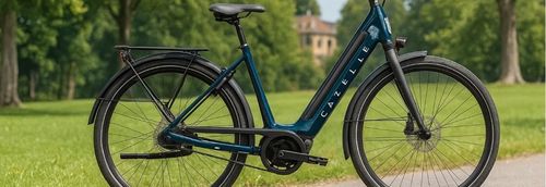 Die besten E-Bikes mit Bosch Motor: Modelle, Technik und Kaufberatung