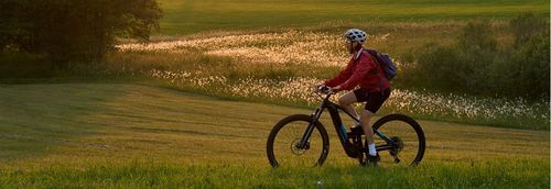 Die besten E-Bikes im Vergleich