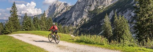 Die besten E-Mountainbikes 2025: Test, Vergleich & Empfehlungen