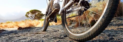 Die besten Fahrradblogs: Dein Kompass durch die Welt der Drahtesel