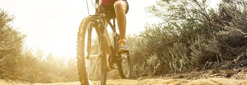 Die besten Mountainbikes 2024/2025: Hardtails und Fullys für jeden Einsatz