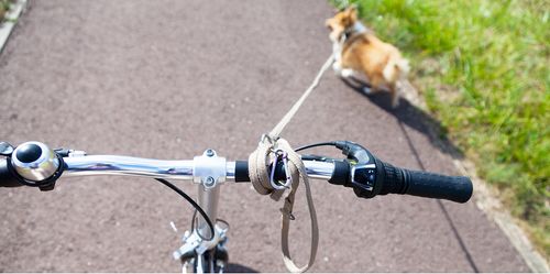 Achtung, Unfallgefahr: Binde die Leine niemals am Lenker deines Fahrrads fest. Nutze besser einen Abstandshalter