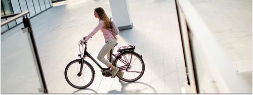 fahrrad werkzeug set drehmomentschlüssel Fahrrad-Drehmomentschlüssel Satz online kaufen Altitude Stil:U Test: Marin Team Marin