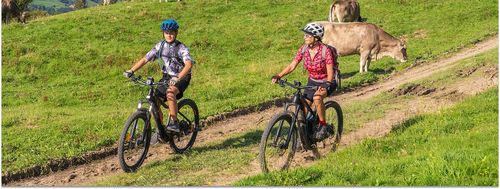 Die besten Kinder-E-Bikes: Welche Modelle sind wirklich sicher?