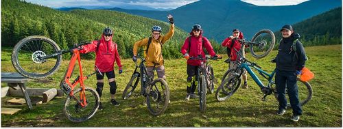 Cube vs. Giant vs. Specialized: Welche Marke passt zu dir?