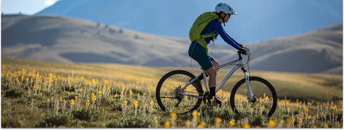 surly bike gravel Midnight Special 700c - Stainless Teal M38 Shifter Boots this versatile all Horn Medical Aufbewahrungsdose Horn Season:3